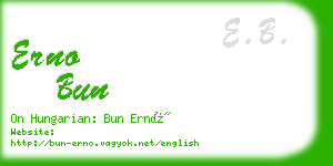 erno bun business card
